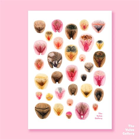 vulva photos|The Vulva Gallery .